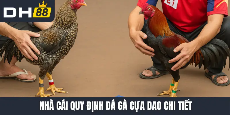 Nhà cái quy định đá gà cựa dao chi tiết